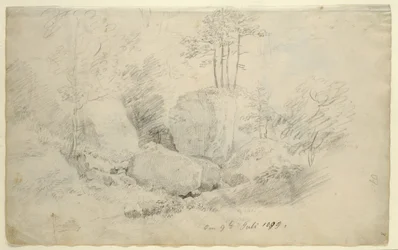 Boulders in Woodland